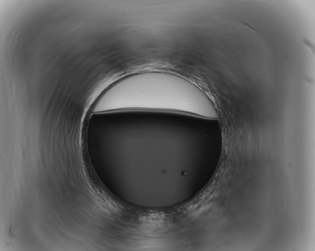 X0000099440196200805090755