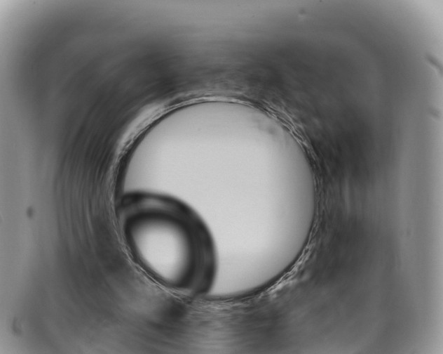 X0000099440197200805090755