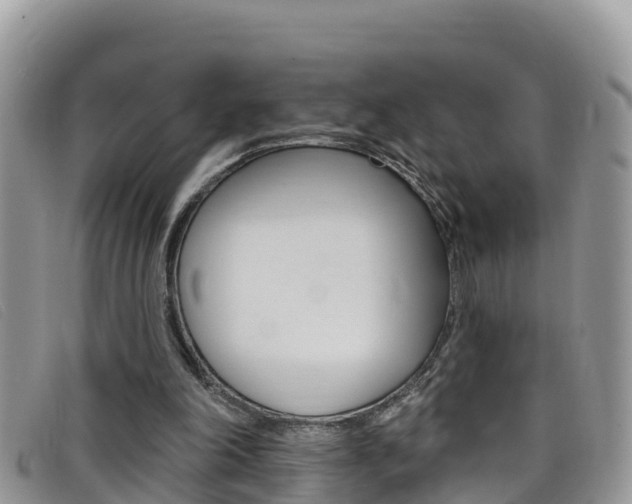 X0000099440198200805090755