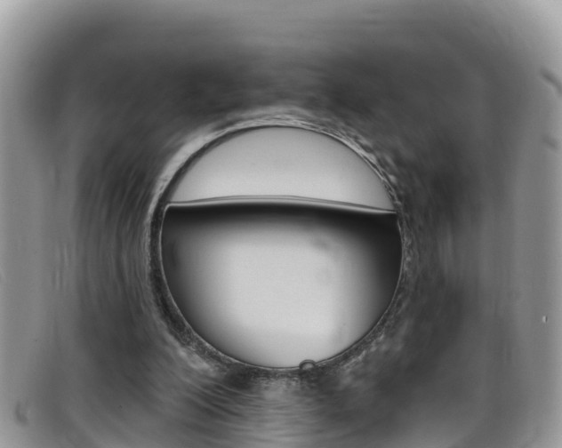 X0000099440200200805090755