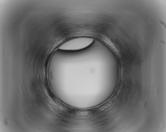 X0000099440202200805090755
