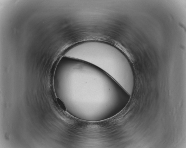 X0000099440203200805090755