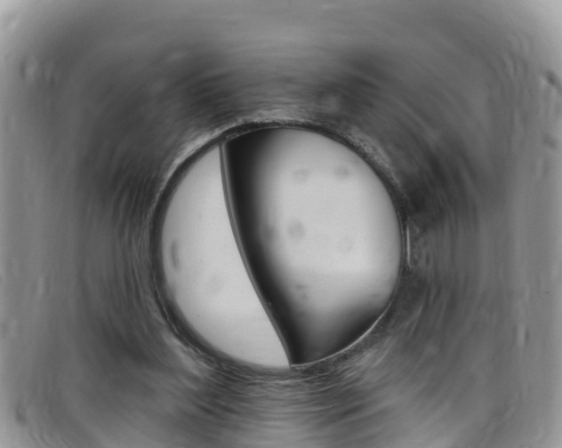 X0000099440204200805090755