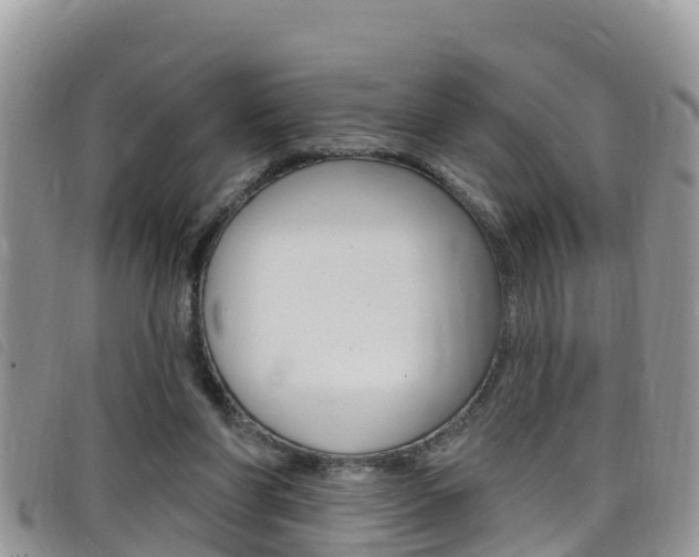 X0000099440206200805090755