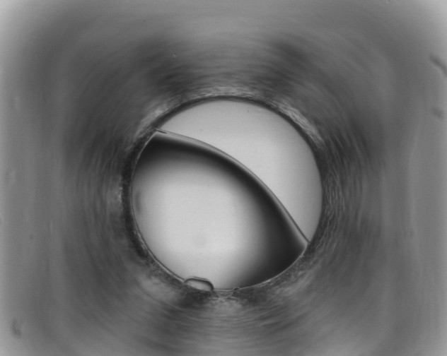 X0000099440207200805090755