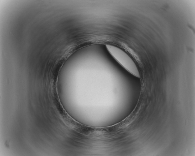 X0000099440209200805090755