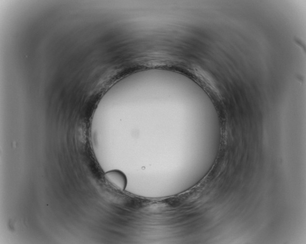 X0000099440210200805090755
