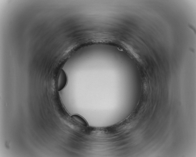 X0000099440211200805090755