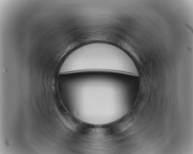 X0000099440212200805090755