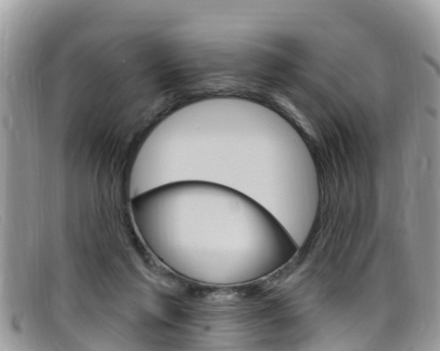 X0000099440213200805090755