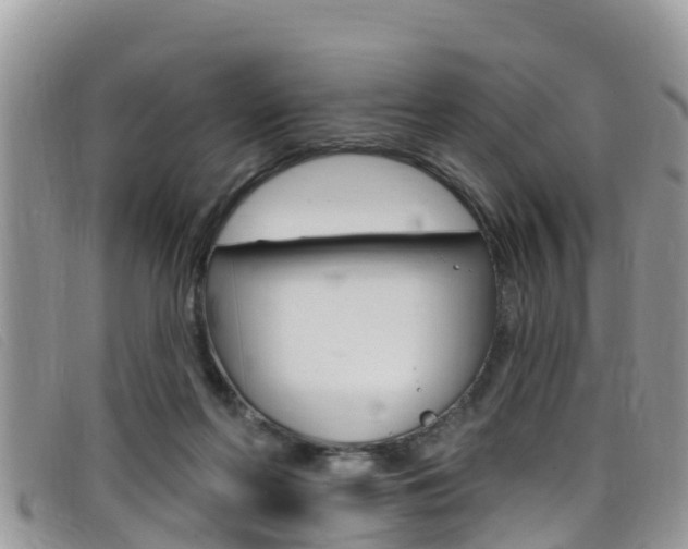 X0000099440214200805090755