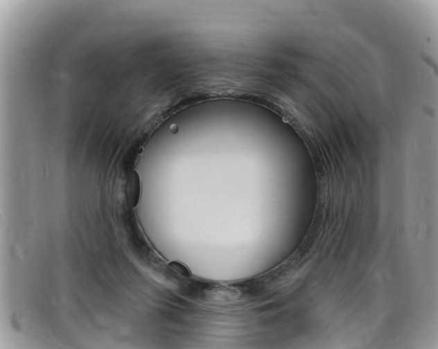 X0000099440215200805090755