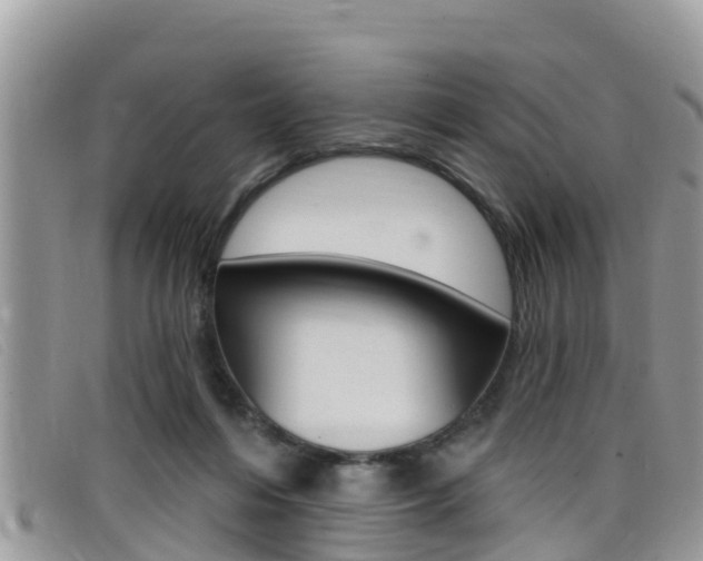 X0000099440216200805090755