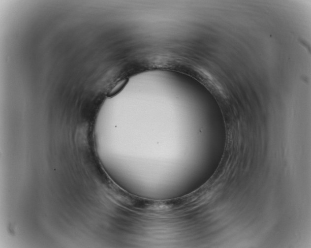 X0000099440217200805090755