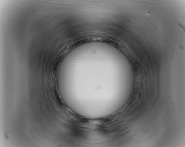 X0000099440218200805090755