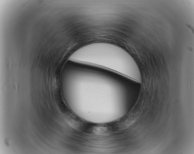 X0000099440220200805090754