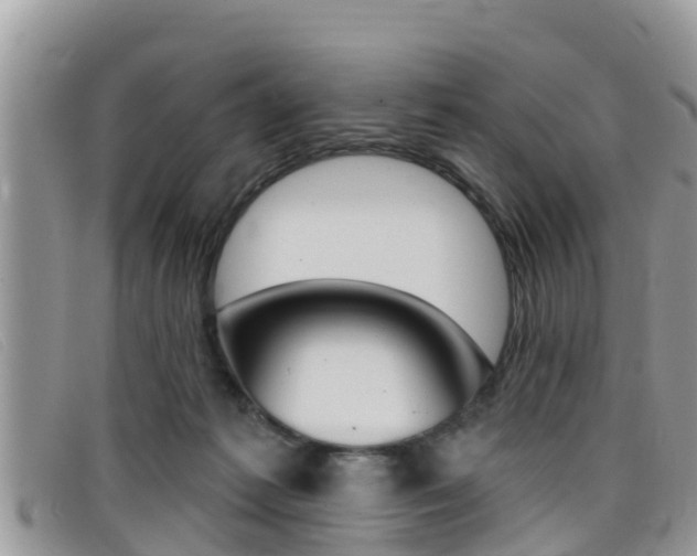 X0000099440221200805090754
