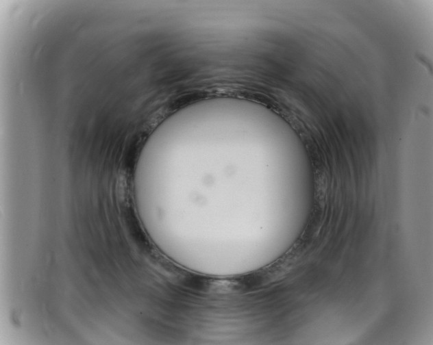 X0000099440222200805090754