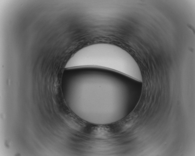 X0000099440223200805090754