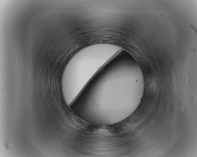 X0000099440224200805090754