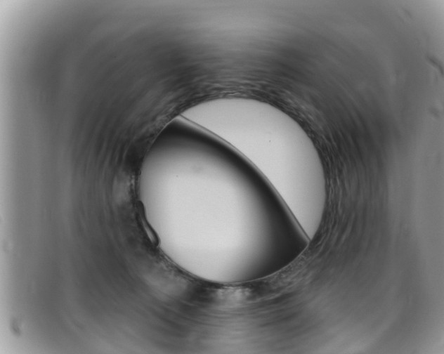X0000099440225200805090754