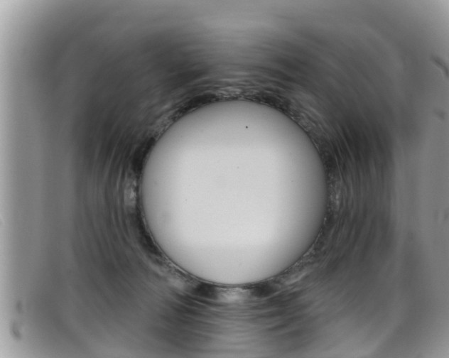 X0000099440226200805090754