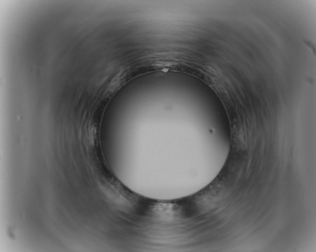 X0000099440227200805090754