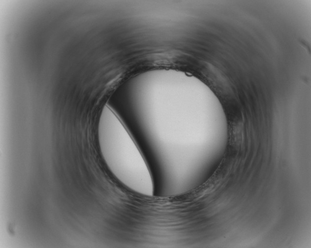 X0000099440228200805090754