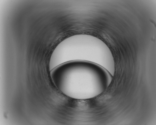 X0000099440229200805090754