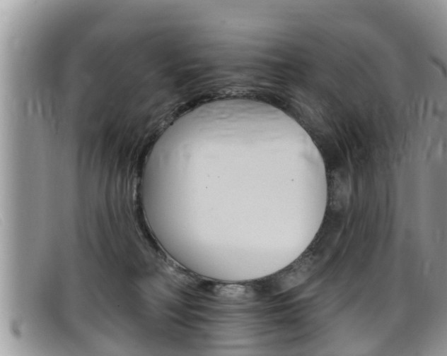 X0000099440230200805090754