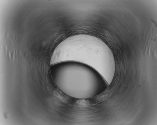 X0000099440231200805090754