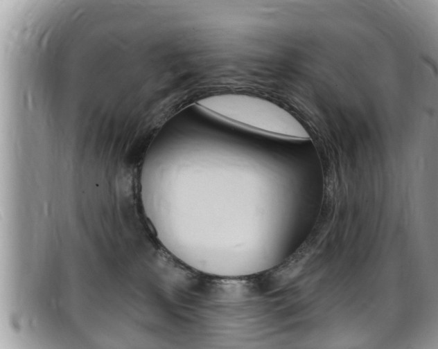 X0000099440233200805090754