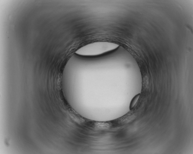 X0000099440234200805090754