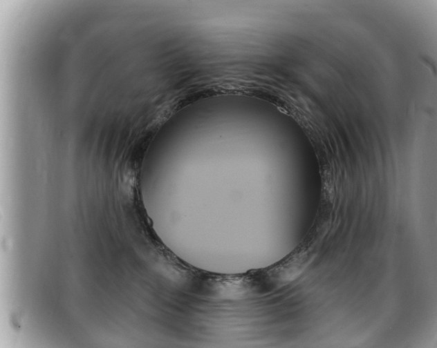 X0000099440235200805090754