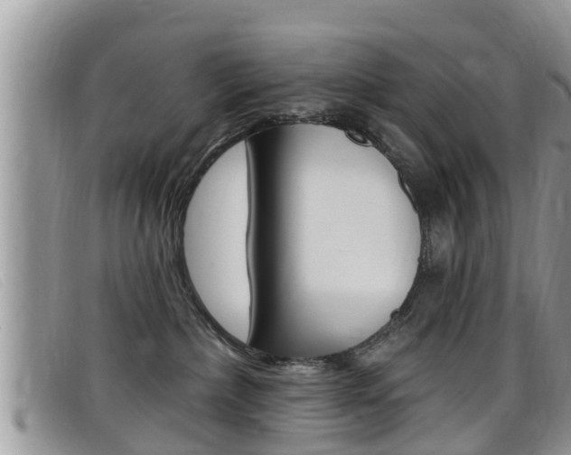 X0000099440236200805090754