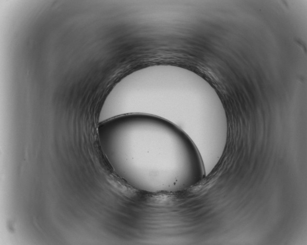 X0000099440237200805090754