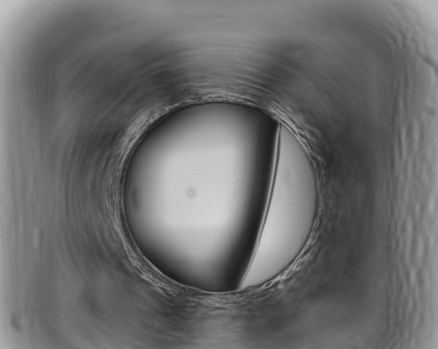 X0000099440241200805090754
