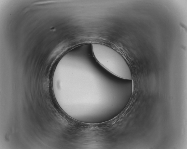 X0000099440243200805090754