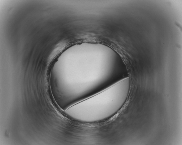 X0000099440245200805090754