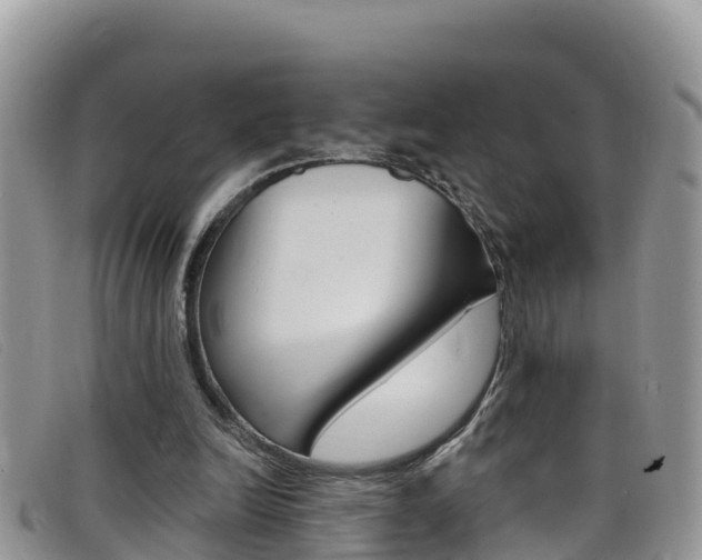 X0000099440246200805090754