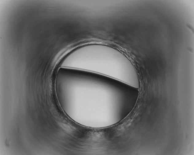 X0000099440247200805090754