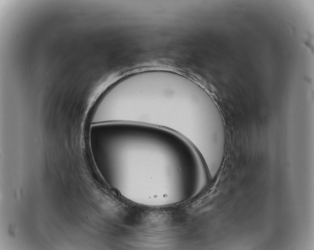 X0000099440248200805090754