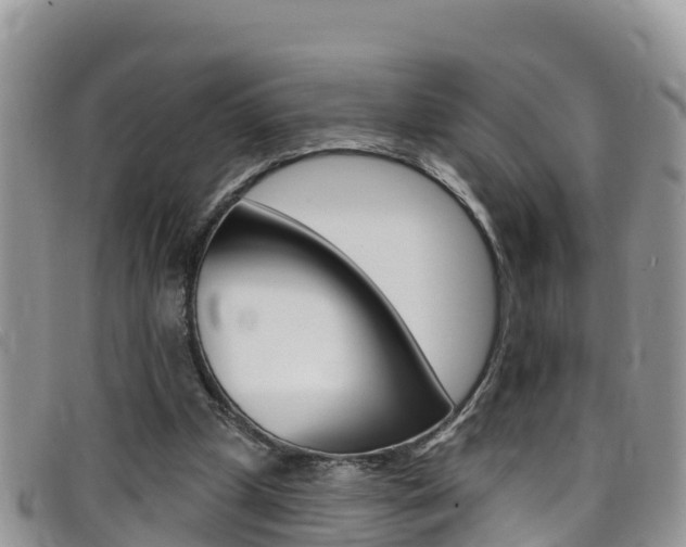 X0000099440249200805090754
