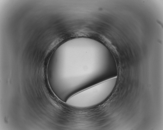 X0000099440250200805090754