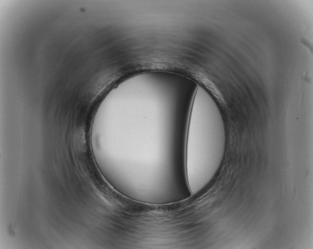 X0000099440251200805090754