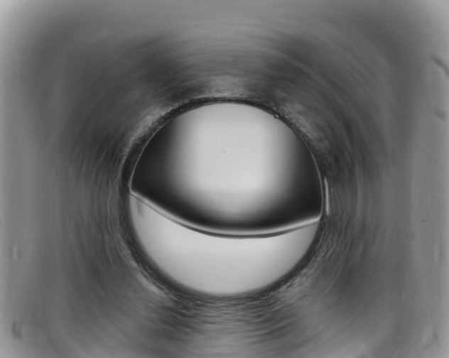 X0000099440252200805090754