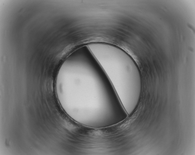 X0000099440253200805090754