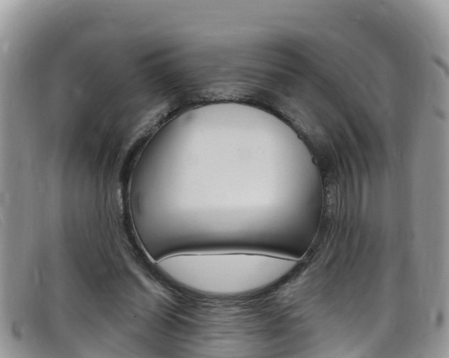 X0000099440254200805090754