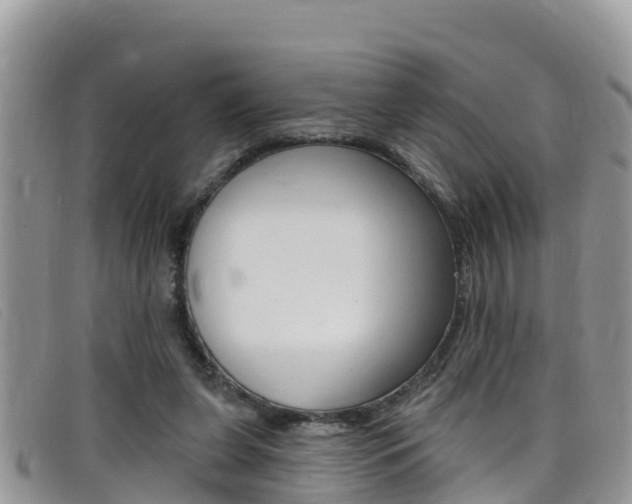 X0000099440255200805090754