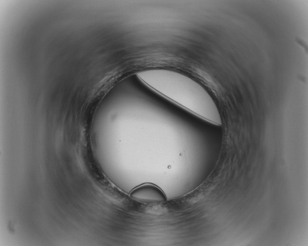 X0000099440258200805090754